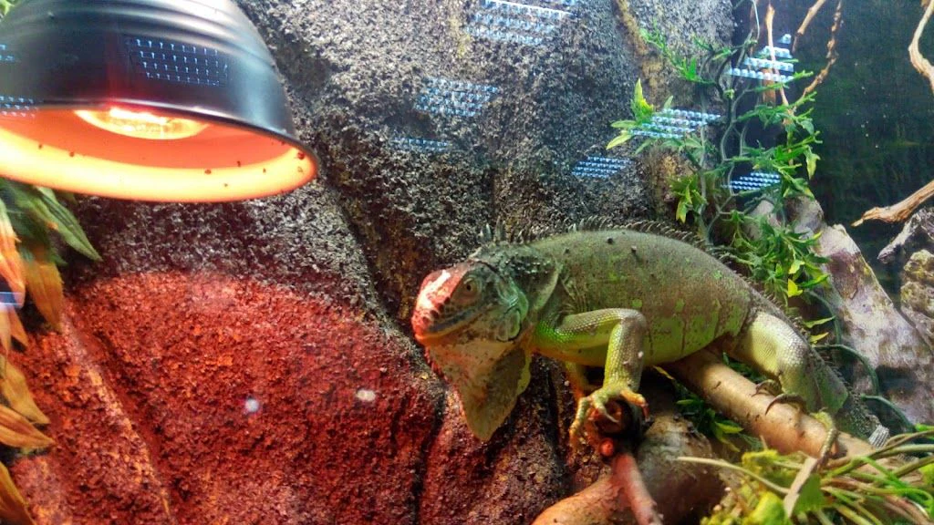Зоомаркет "MasterZoo" — фото 4