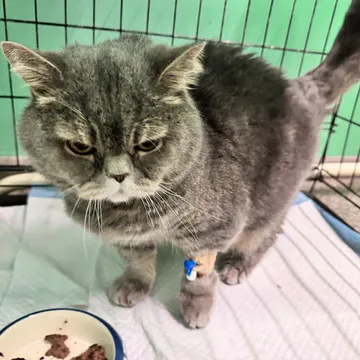 Фото бізнесу Ветеринарний центр "Vet Friend"