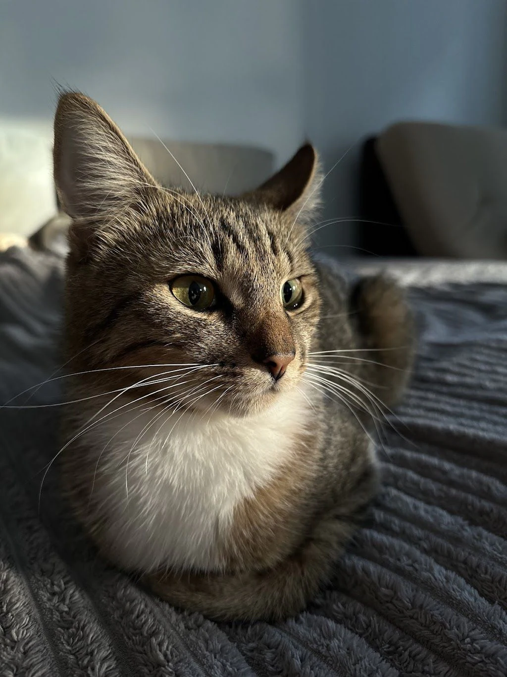 Ветеринарний центр "Vet Friend" — фото 2
