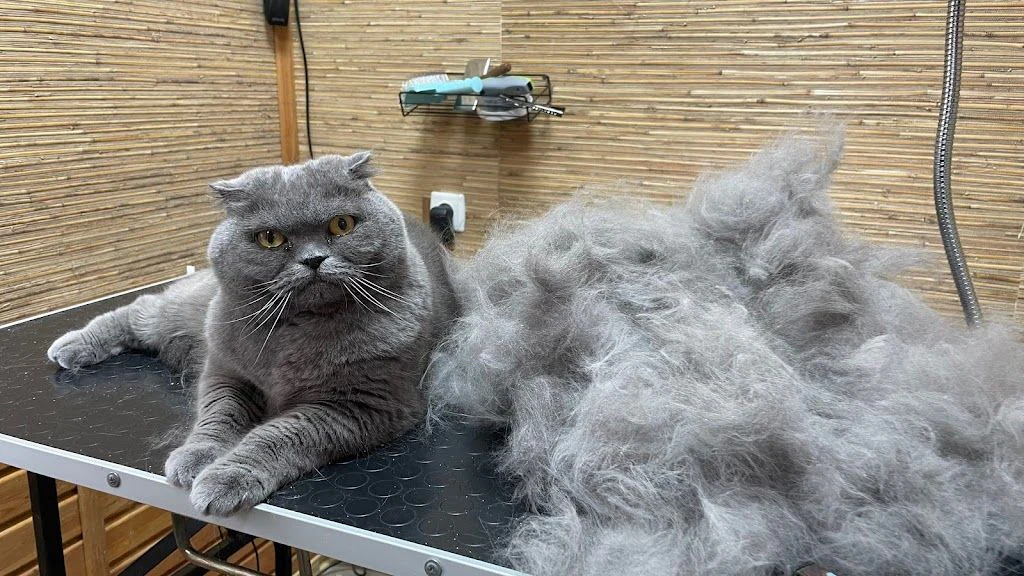 Салон для тварин «Grooming» — фото 3