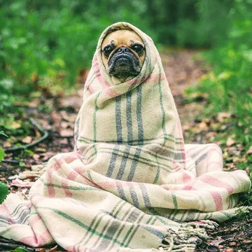 Фото бізнесу Animal Rescue Sofia