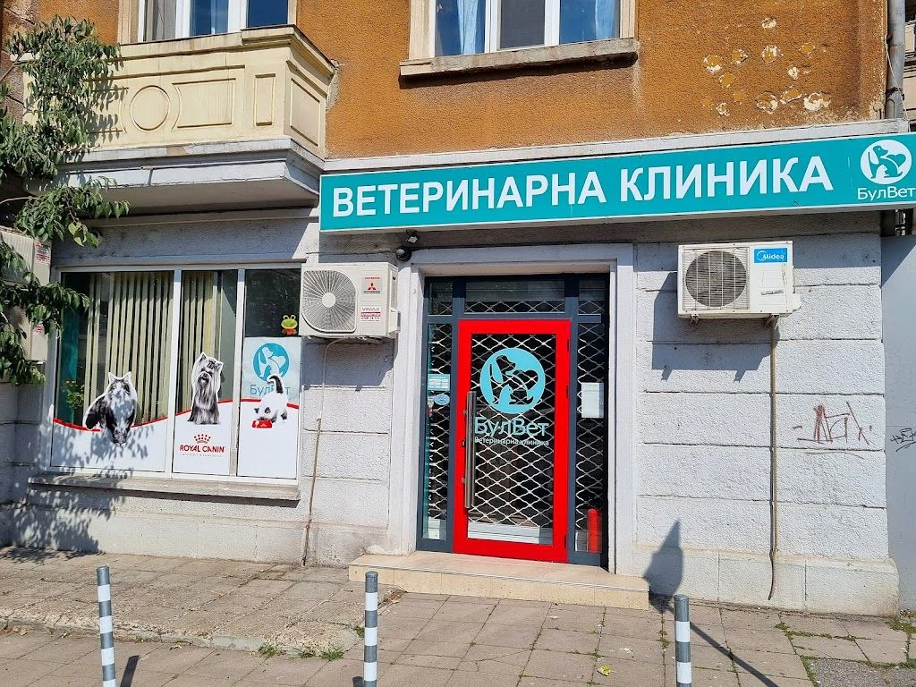 Ветеринарна клиника "БулВет Клиник" — фото 2