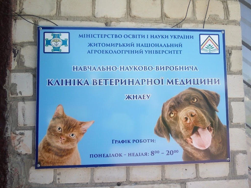 Ветклініка при Державному агроекологічному універстеті — фото 5