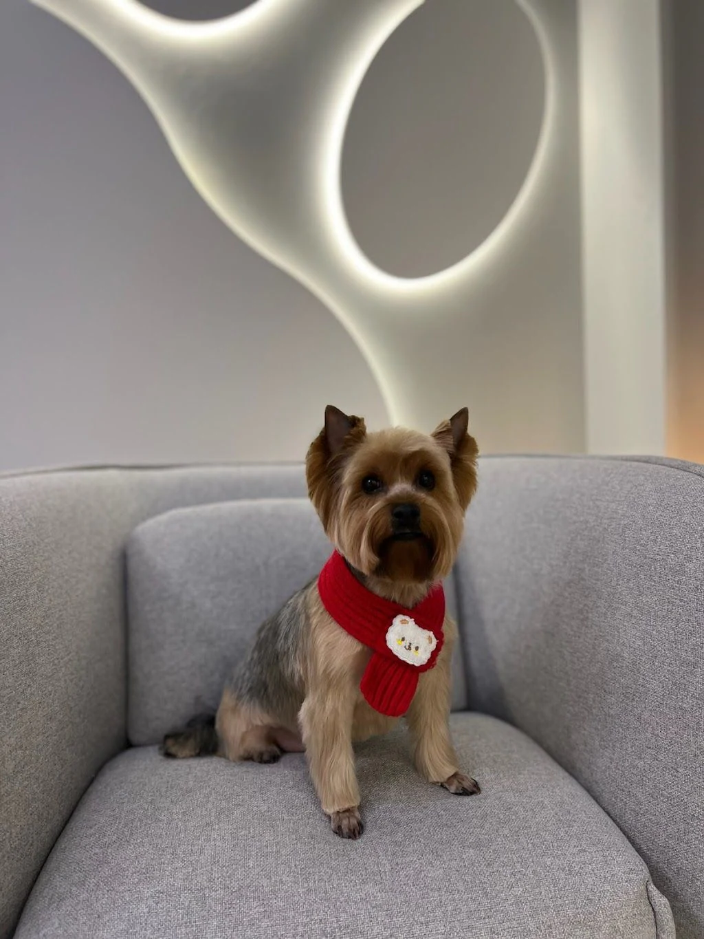 Грумінг-салон «Luma Pet Spa» — фото 2