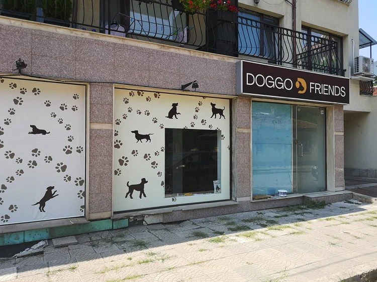Училище за кучета и стопани "DoggoFriends" — фото 5