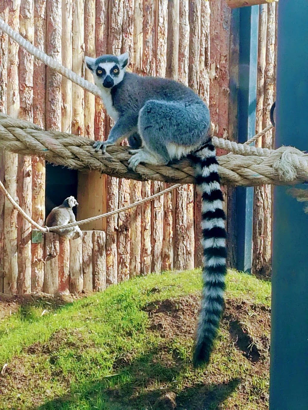 Ветеринарна клиника „ZOO CENTER“ Хит Младост — фото 3