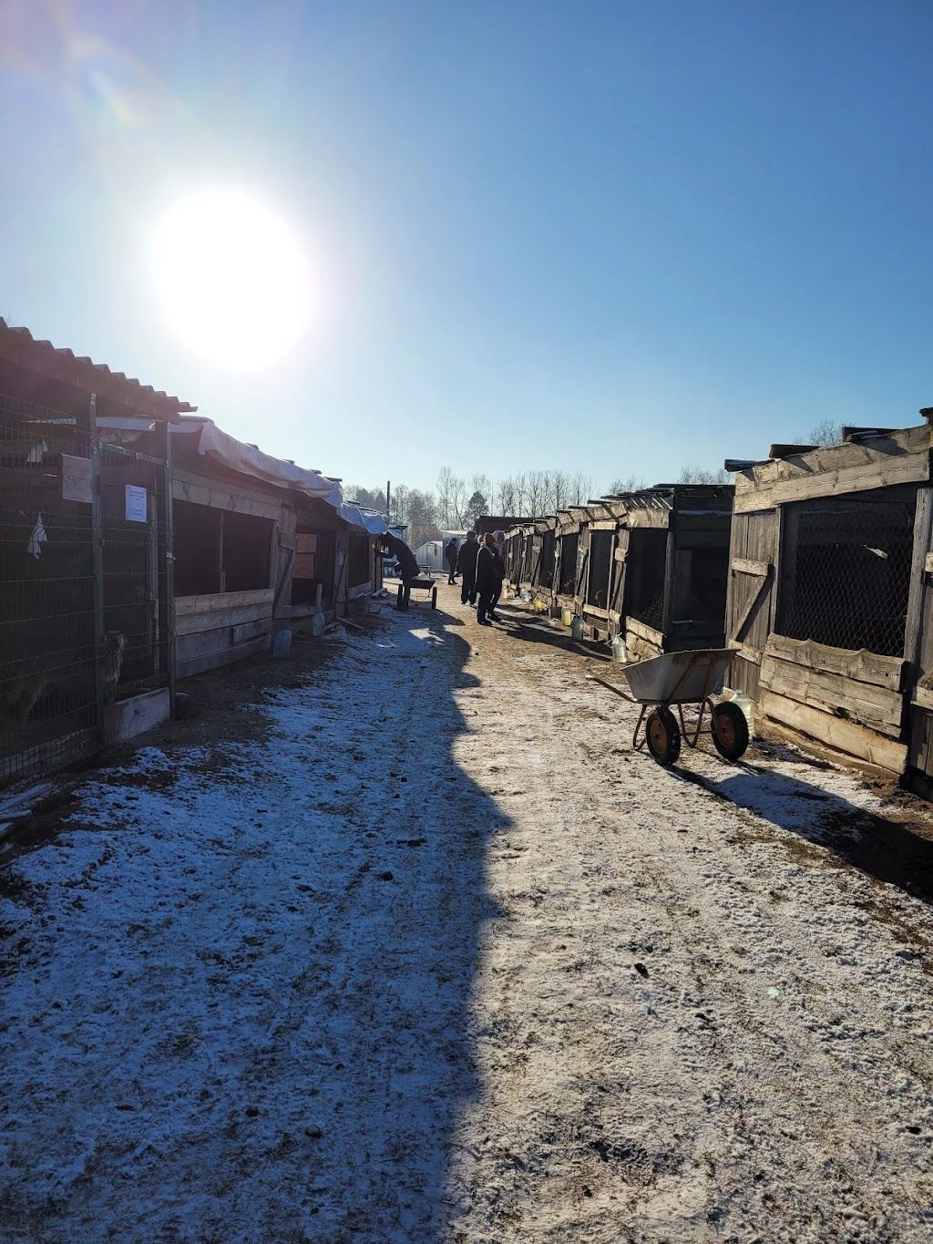 Притулок для тварин "Сіріус" — фото 3