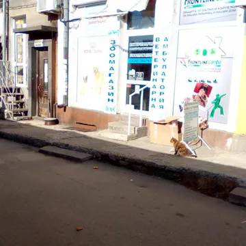 Фото бізнесу Зооветмаркет и ветеринарна амбулатория