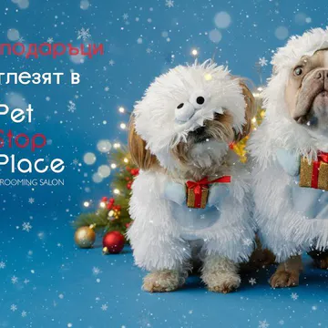 Фото бізнесу Груминг салон "Pet Stop Place"