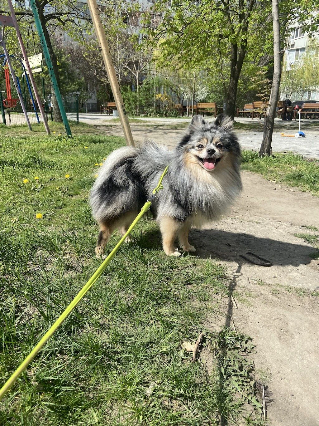 Грумінг-салон "OH MY DOG" — фото 2