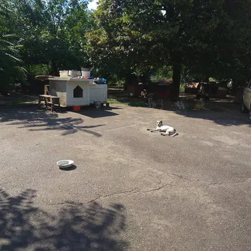 Фото бізнесу Притулок для тварин "Дай лапу, друже"