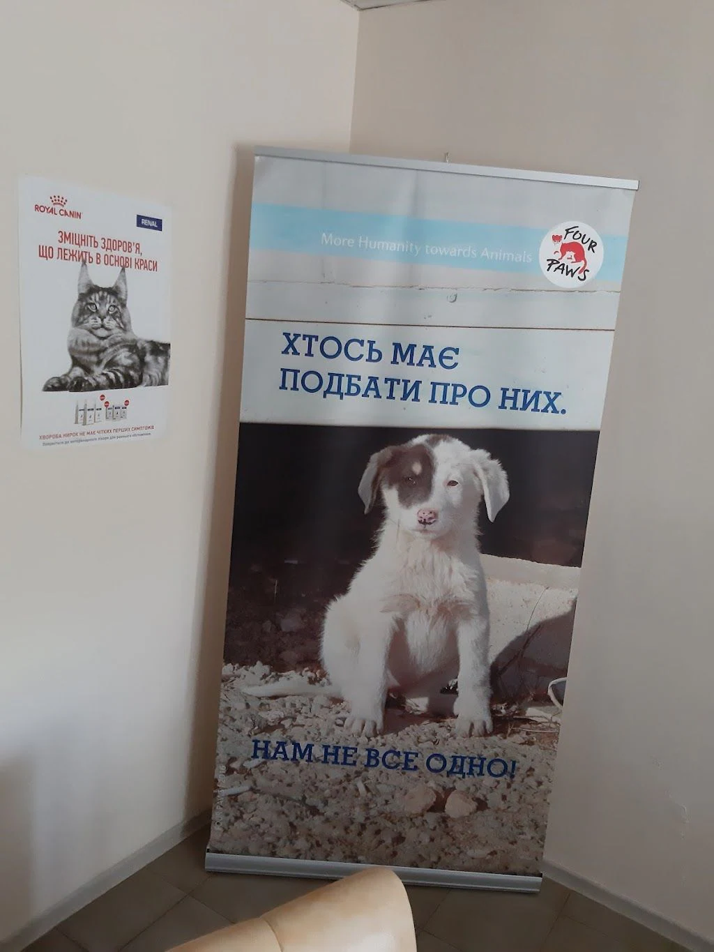 Житомирський Центр Захисту Тварин "Four Paws" — фото 5