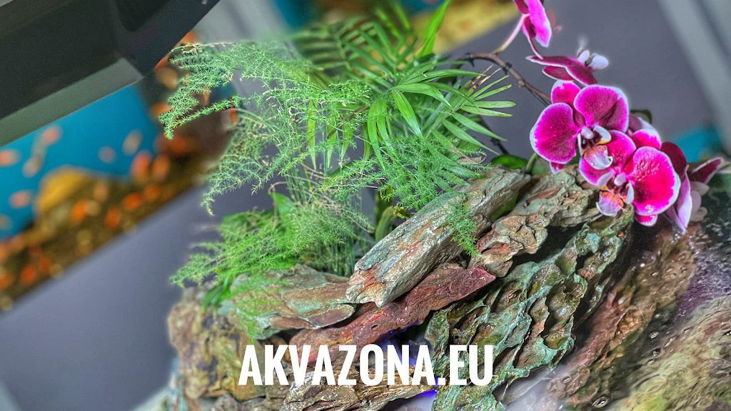 "Аква зона 2 ЕООД" — фото 2
