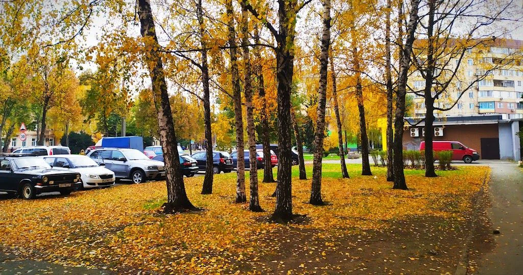 Ветеринарна клініка "ДОБЕРМАН" — фото 2