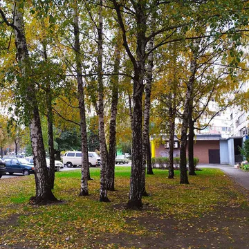 Фото бізнесу Ветеринарна клініка "ДОБЕРМАН"