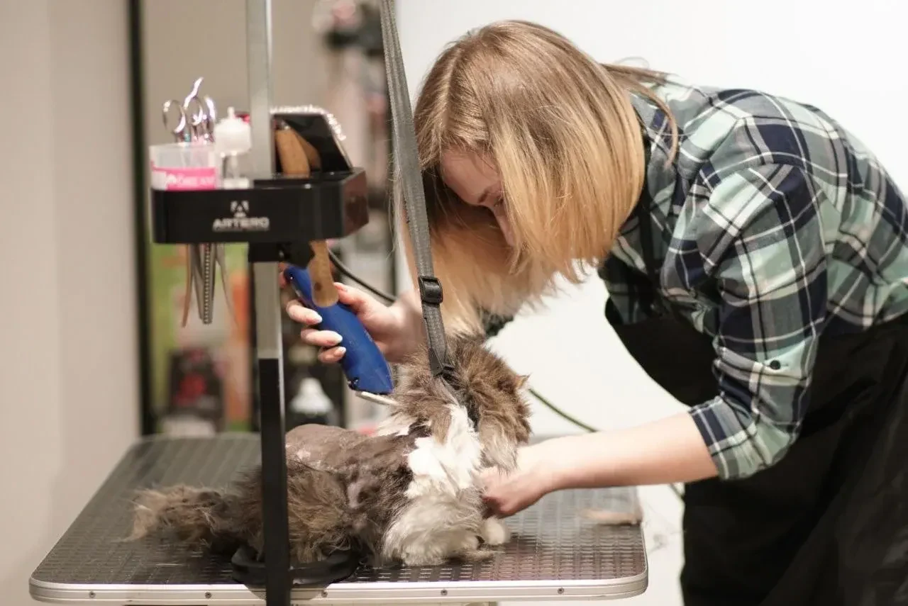 Грумінг-салон "Salon Groom" — фото 14