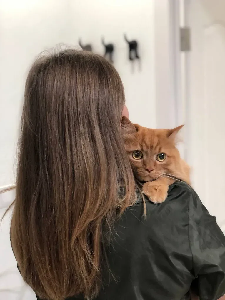 Грумінг-салон "Salon Groom" — фото 15