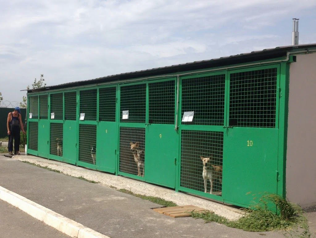 Контакт-центр "Pets Friendly" КП "Центр поводження з тваринами" — фото 5