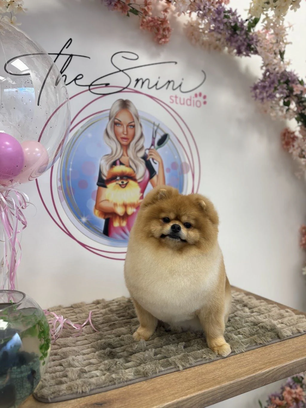 The Smini Groomer Pet Studio Фризьорско Студио за Кучета — фото 3
