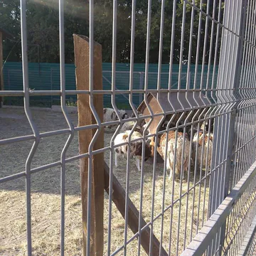 Фото бізнесу Зоопарк парнокопитних