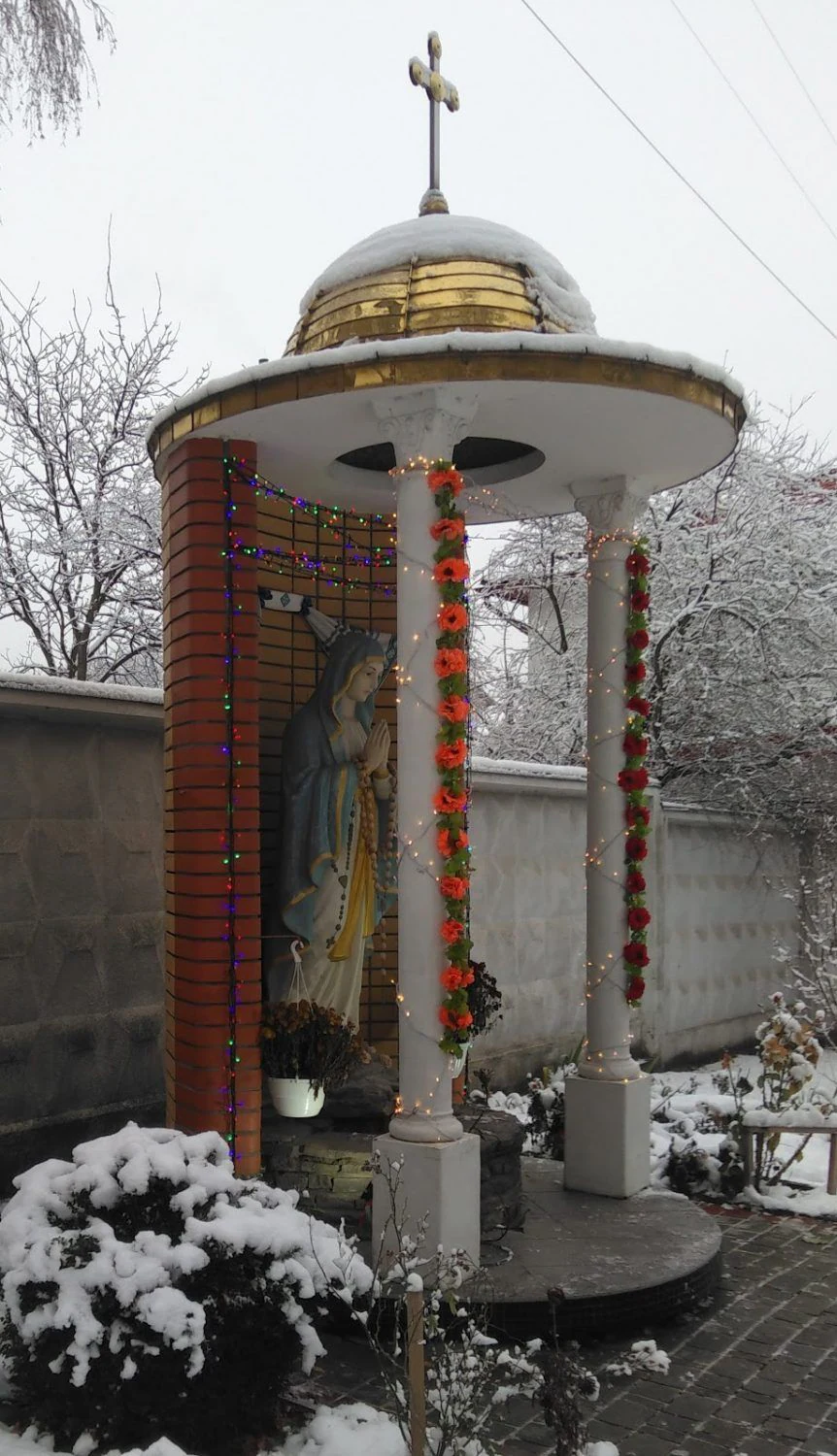 Львівська міська державна лікарня ветеринарної медицини — фото 5