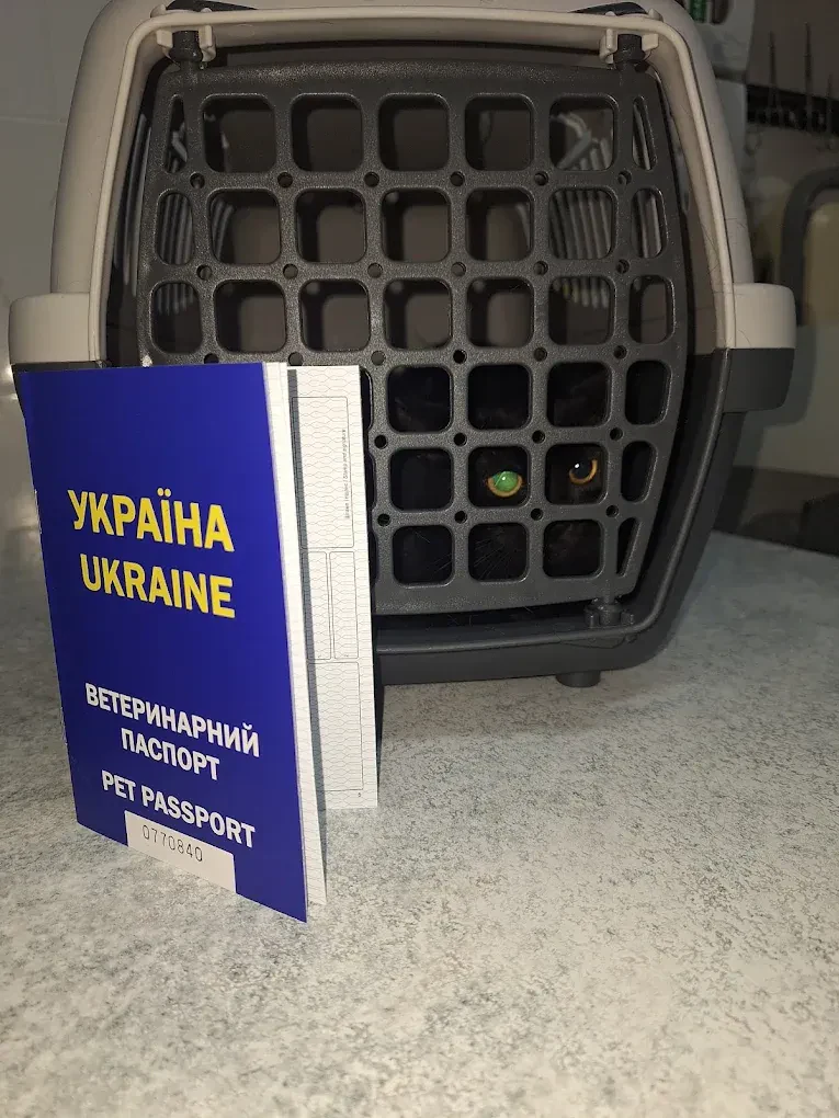 Ветеринарна клініка, ветеринарна аптека, грумінг "Лаповус" — фото 6