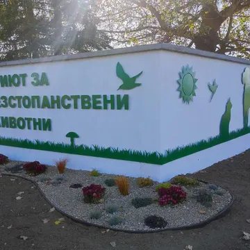 Фото бізнесу Приют за безстопанствени животни, Самоков