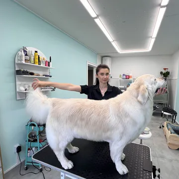 Фото бізнесу Професійний грумінг & освітній простір для pet-батьків Shining Paws