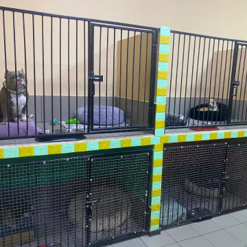 Фото бізнесу Готель для улюбленців "ZooParking" Одеса