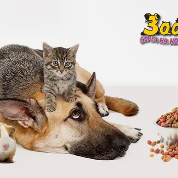 Фото бізнесу Кучешка и котешка храна на едро "ЗОО ГРУП БГ"