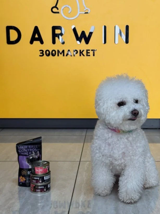 Зоомагазин "Darwin" — фото 4