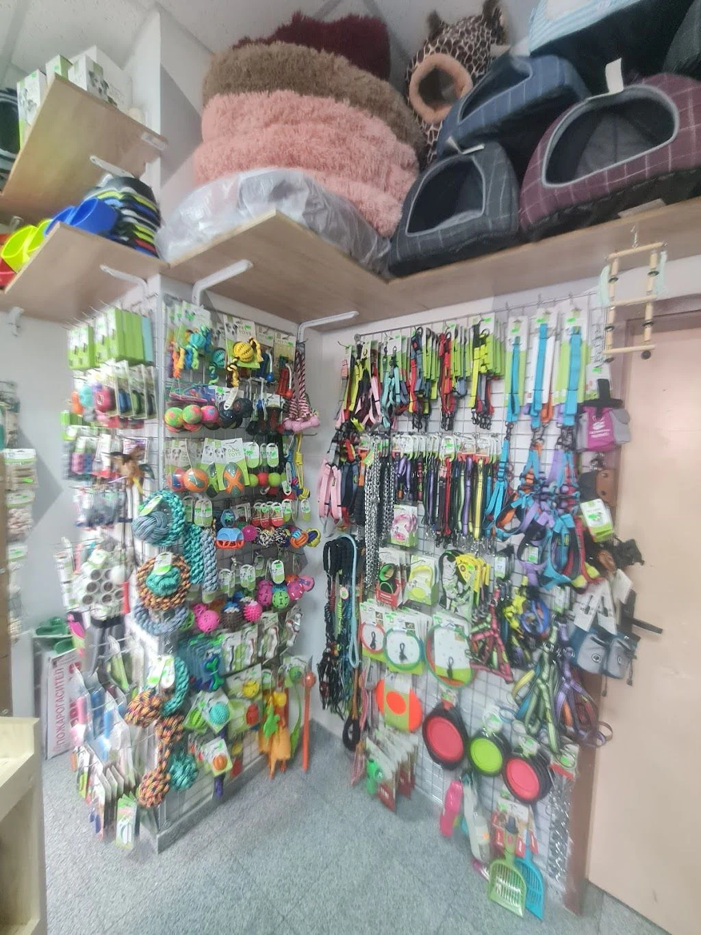 Зоомагазин "Gatti's zooshop" — фото 4