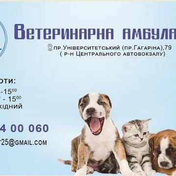 Фото бізнесу Ветеринарна амбулаторія "Favorite Pet"