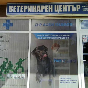 Фото бізнесу Ветеринарна клиника "Стилвет"