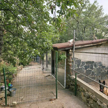 Фото бізнесу Училище за Кучета