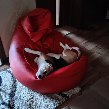 Фото бізнесу Ветеринарна клиника "Аксис"