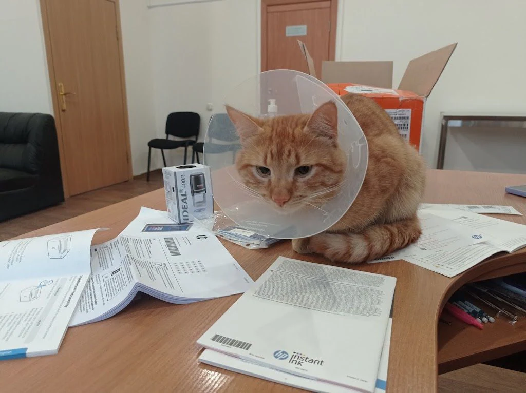 Ветеринарна клініка "LizaVet Clinic" — фото 4