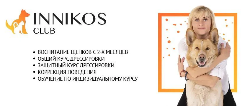 Клуб домашніх улюбленців "INNikos Club" — фото 2