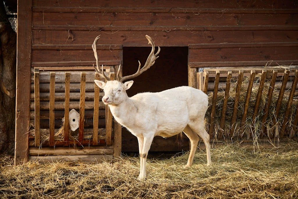 Луцький Зоопарк — фото 3