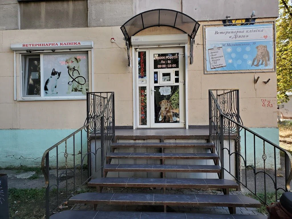 Ветеринарна клініка "Дінго" — фото 4