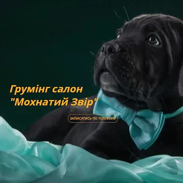 Фото бізнесу Грумінг салон "Мохнатий Звір"