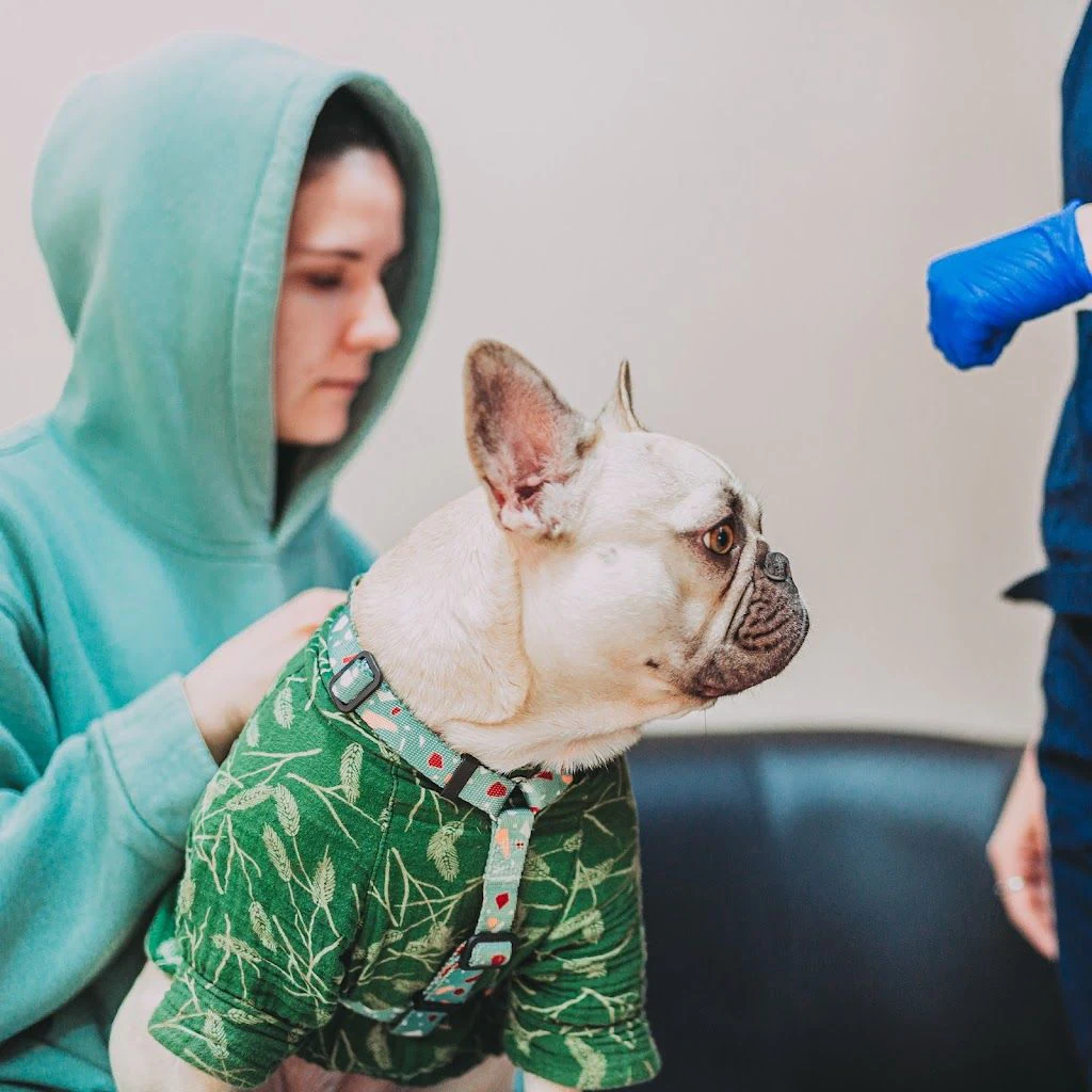 Ветеринарна клініка та ветеринарна аптека "VETZOO Clinic" — фото 2