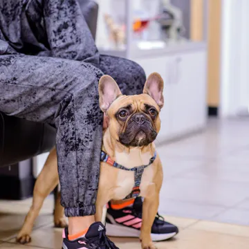 Фото бізнесу Ветеринарна клініка та ветеринарна аптека "VETZOO Clinic"
