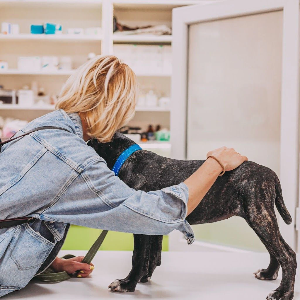Ветеринарна клініка та ветеринарна аптека "VETZOO Clinic" — фото 5