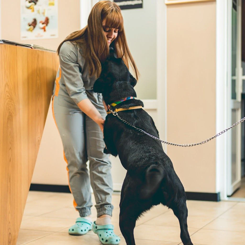 Ветеринарна клініка та ветеринарна аптека "VETZOO Clinic" — фото 3