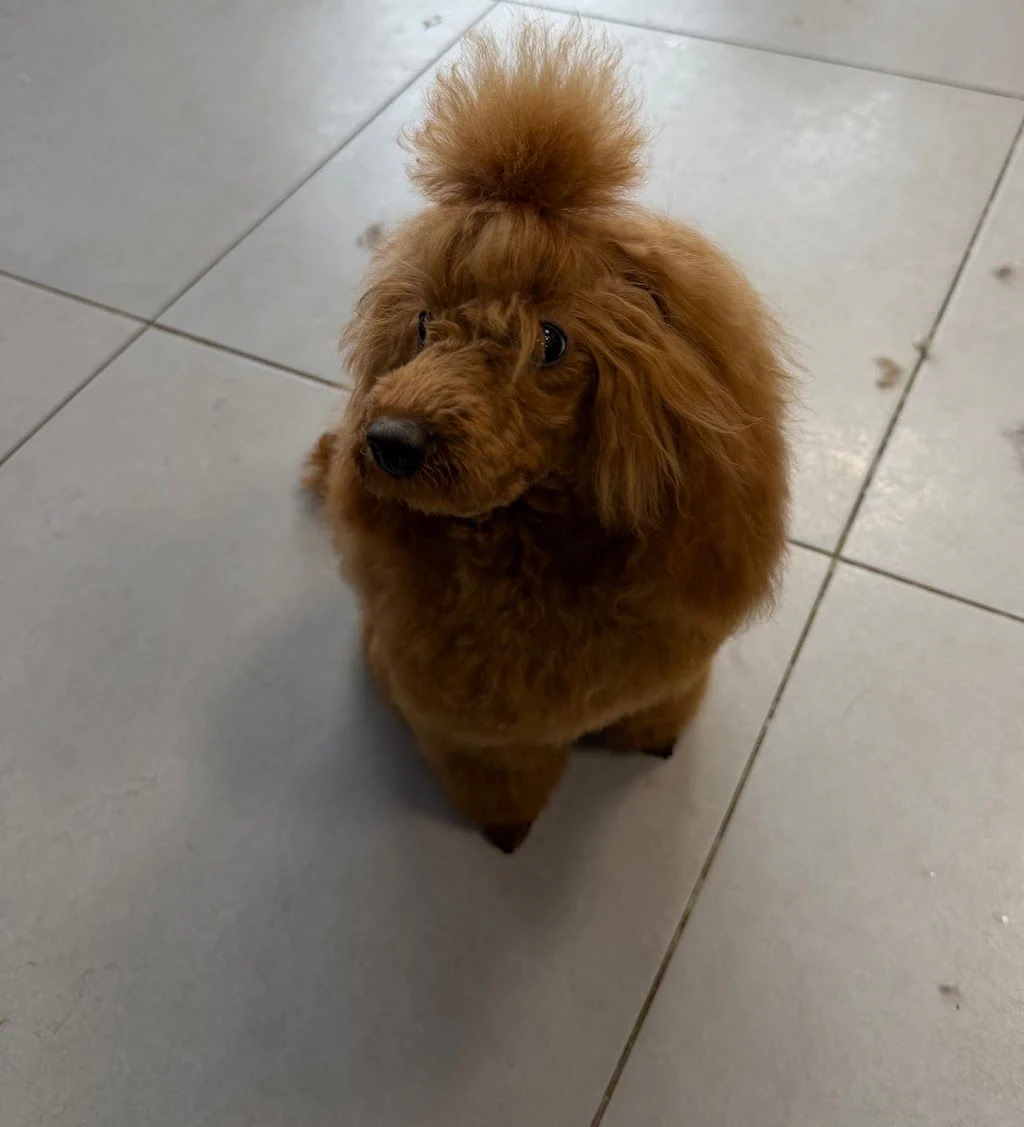 Груминг салон "Bark & Spark Grooming Salon" — фото 4
