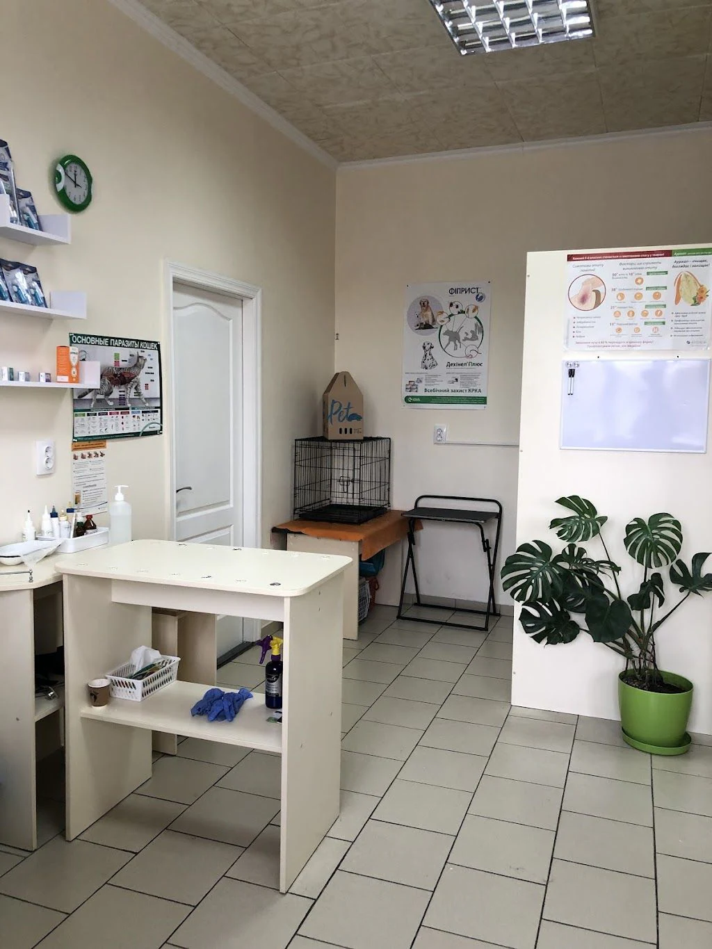 Ветеринарна клініка "Druzi Vet" — фото 4