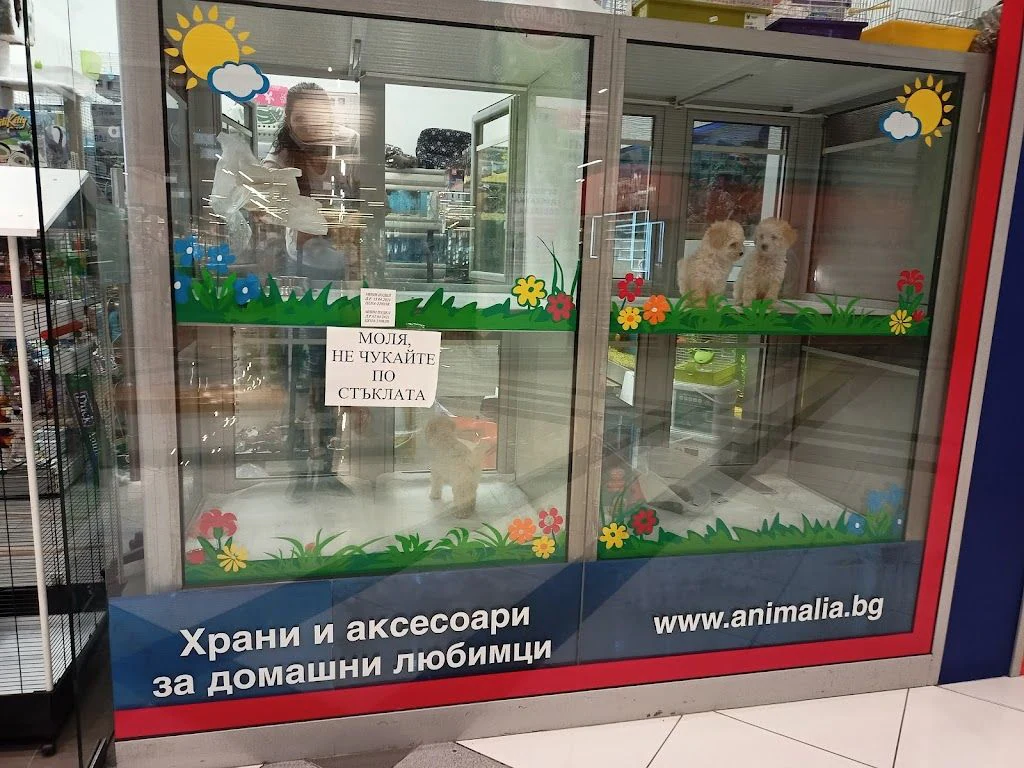 Зоомагазин и склад "Анималия" — фото 2