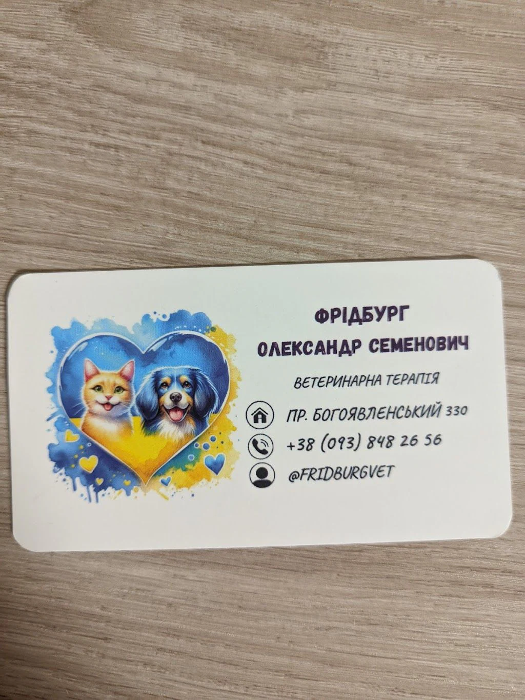Клініка ветеринарної терапії Фрідбурга — фото 3