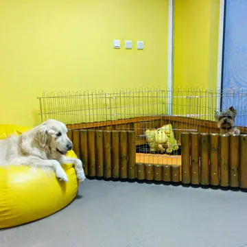 Фото бізнесу Груминг салон "Master of Puppies"